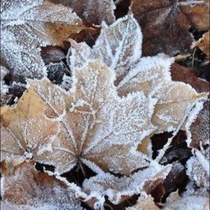 Meet your Posher, Sabrina